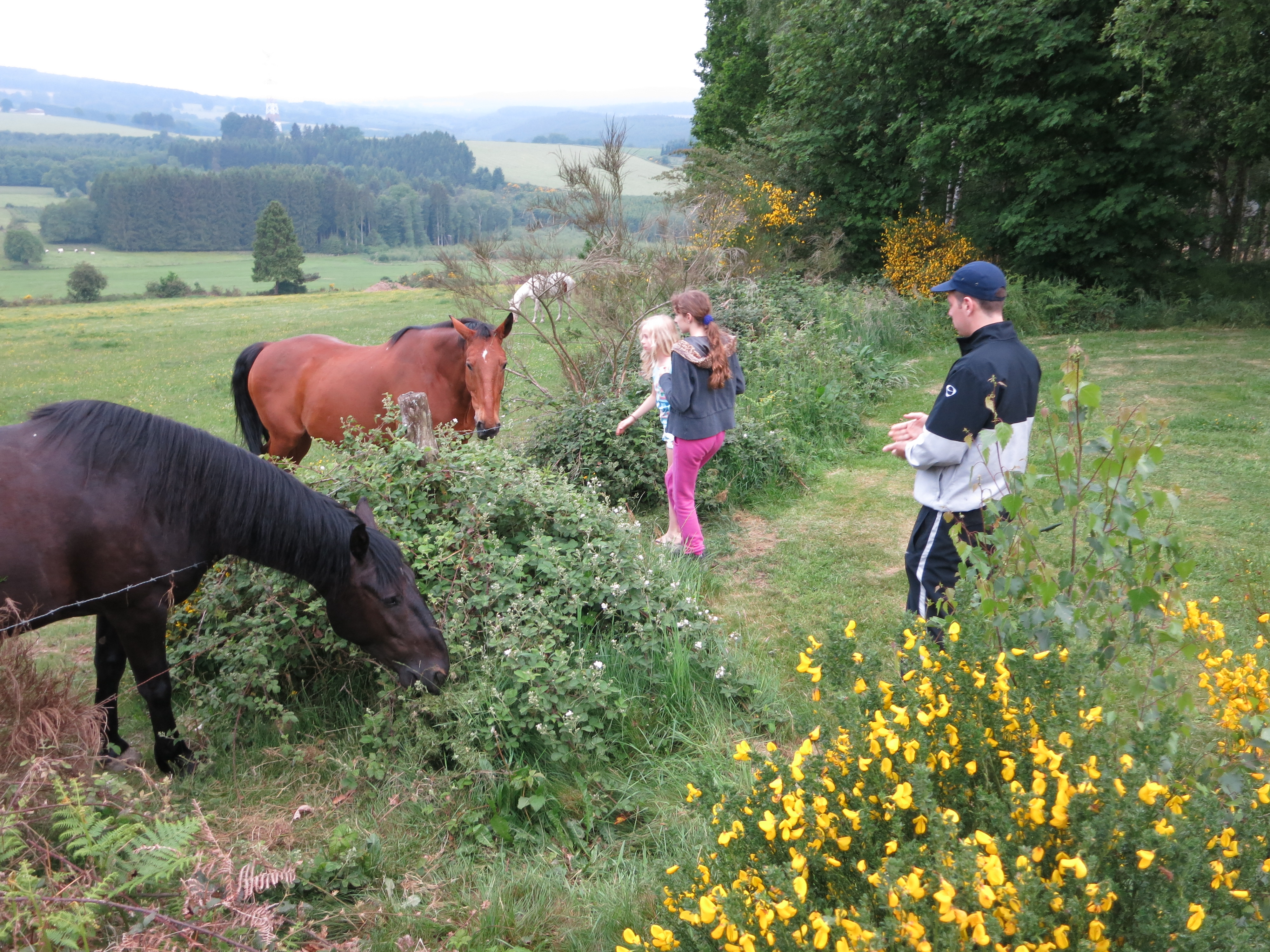 HWK Ardennes 2014 022.jpg